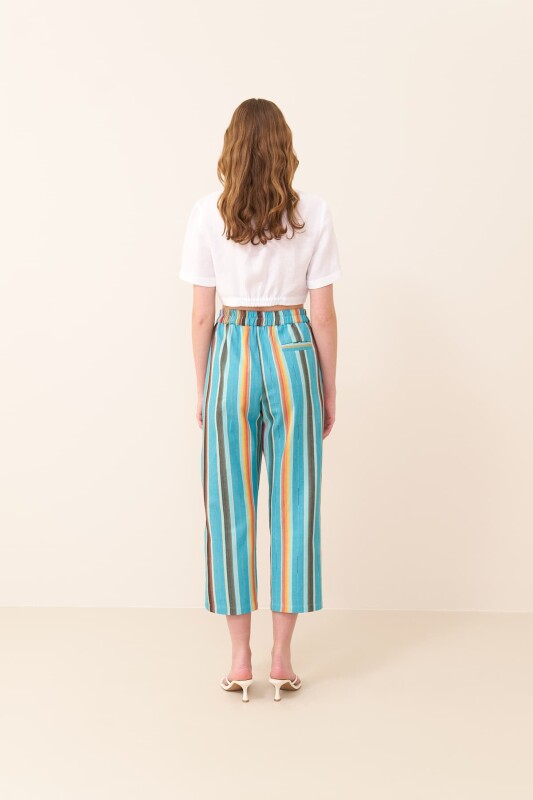 Beli Lastikli Çizgili Pantolon Standart Renk - Roman (1)