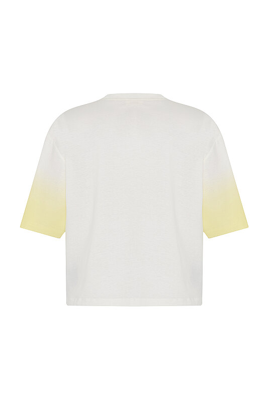 Çiçek Baskılı Nakışlı T-Shirt Ekru - 4