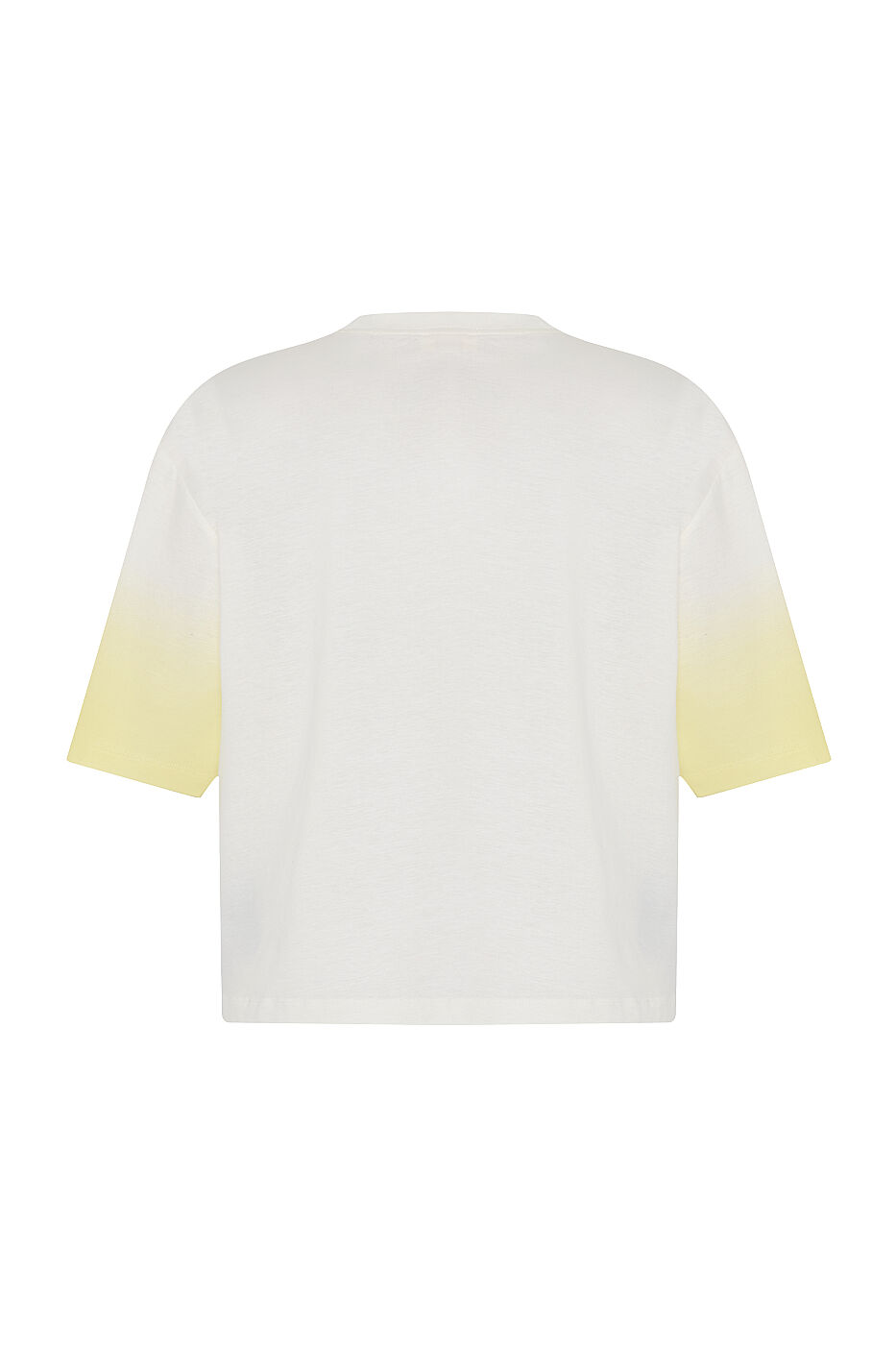 Çiçek Baskılı Nakışlı T-Shirt Ekru - 4