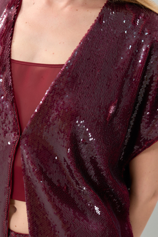 Kısa Kol Payetli Ceket Vişne - 3