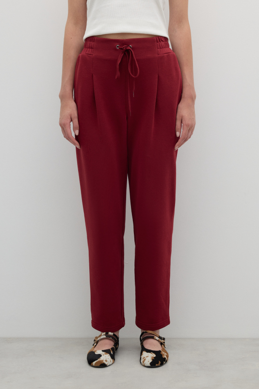 Nakış Detaylı Tek Pilili Havuç Paça Pantolon Bordo - 3