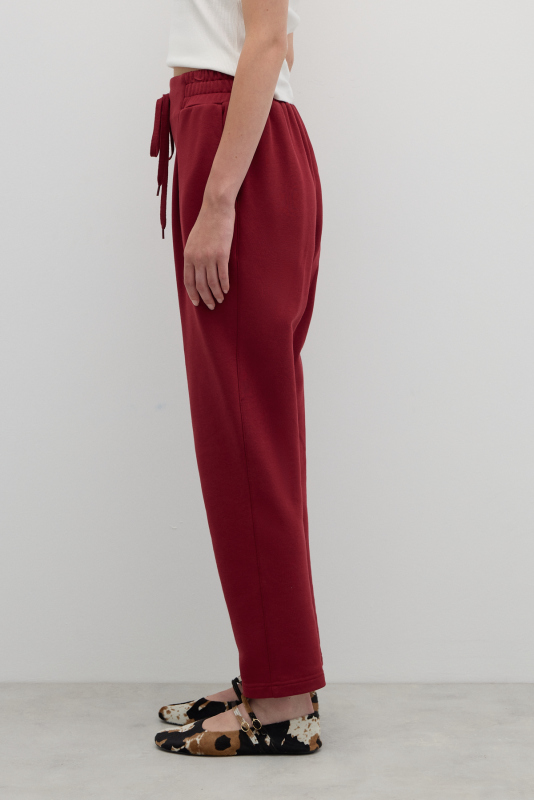 Nakış Detaylı Tek Pilili Havuç Paça Pantolon Bordo - 4