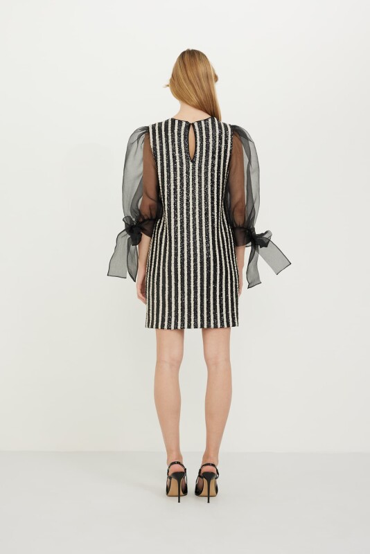 Kolları Organze Diz Boy Payet Elbise Standart Renk - Roman (1)