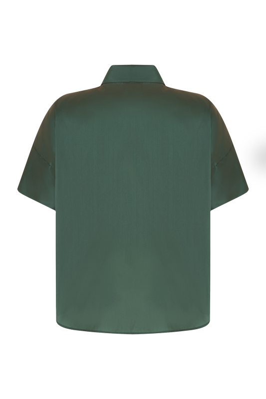 Yakası Payet İşlemeli Tafta Gömlek Yeşil - Roman (1)